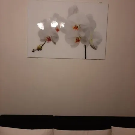 Apartamento Comfortable In The Heart Of *