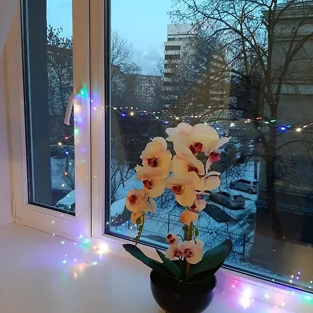 Apartamento Comfortable In The Heart Of Tallin